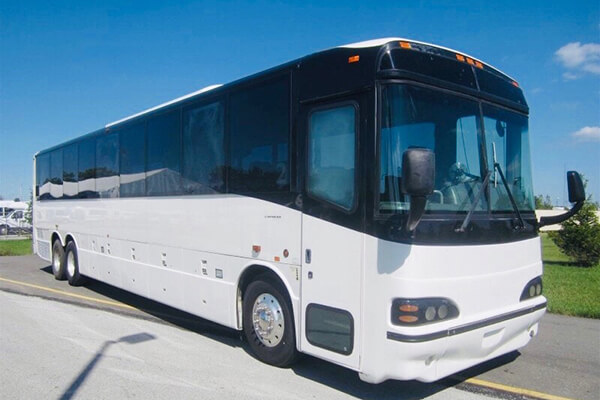 Huge party buses
