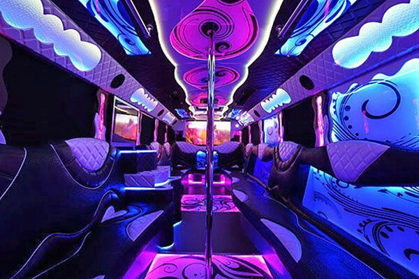 Interior of our 36+ Party bus | St. Paul & Minneapolis, Minnesota Limo Service Transportation